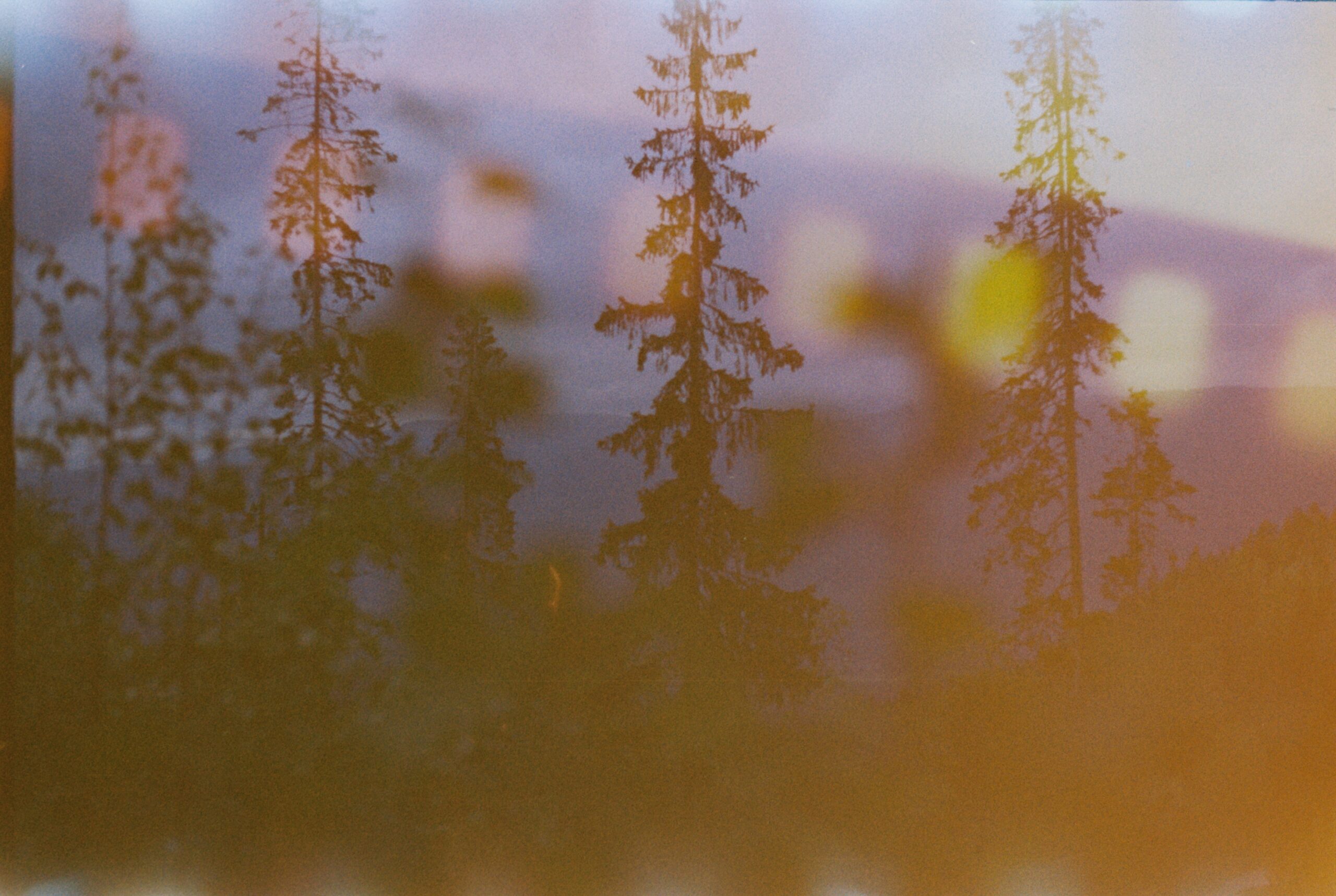 Myrvann kakao i naturlig lys