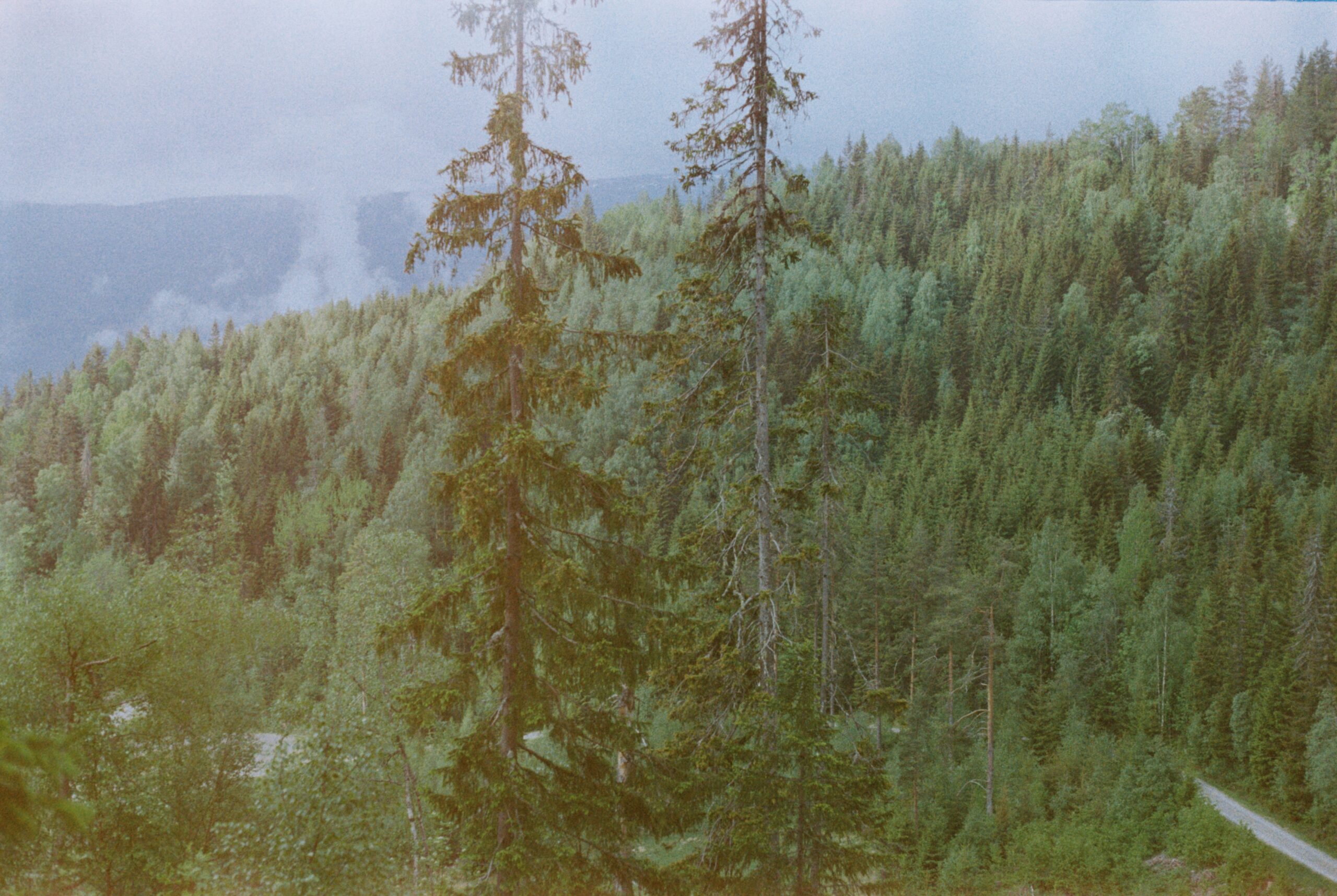Martin i verkstedet i Numedal