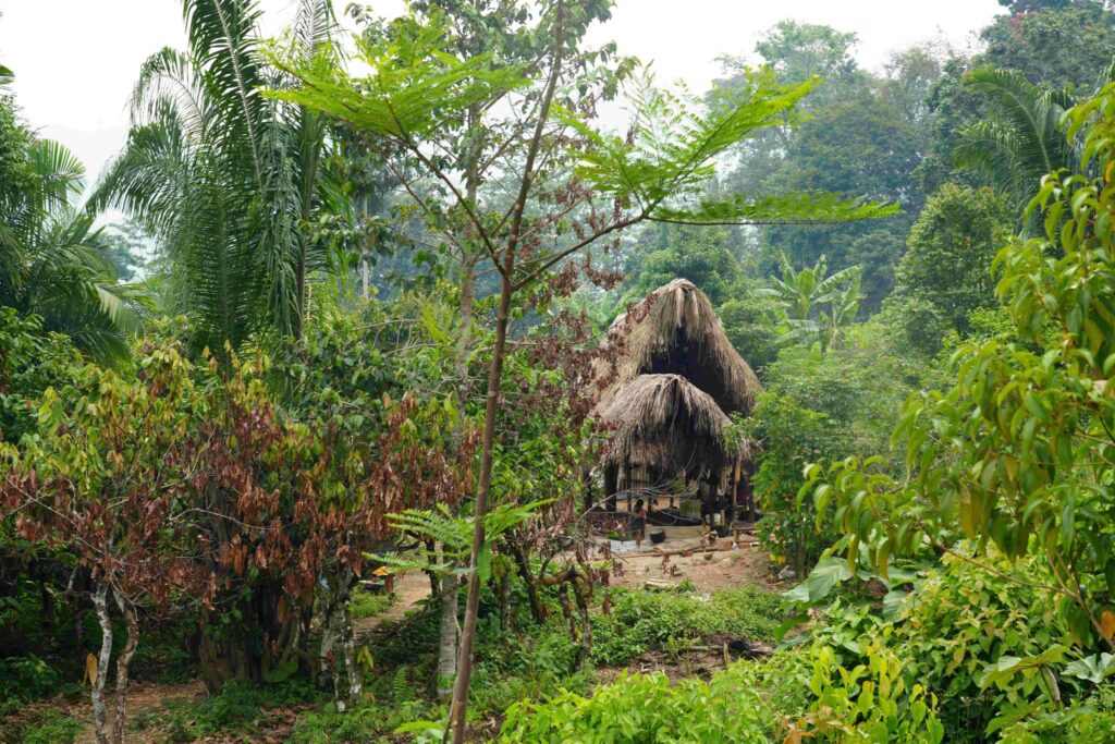 Peru Amazonas Lagunas